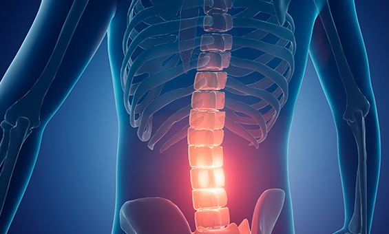 무너진 척추를 지키는 근육 활성화 스트레칭