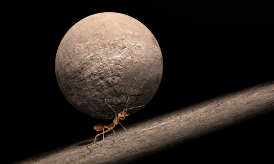 어제의 짐도 내일의 불안도 내려놓을 것