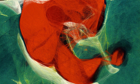 공존을 향한 새로운 상상력