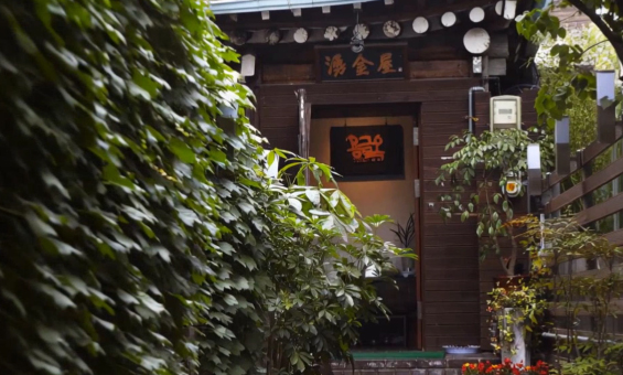 살아남는 집의 비밀