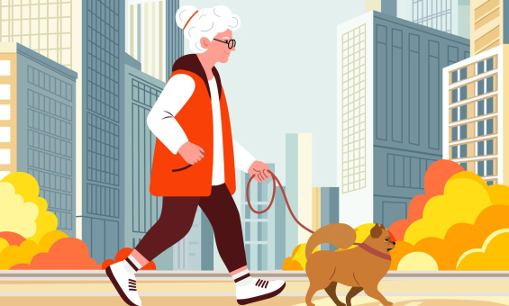 노인을 위한 도시는 있다